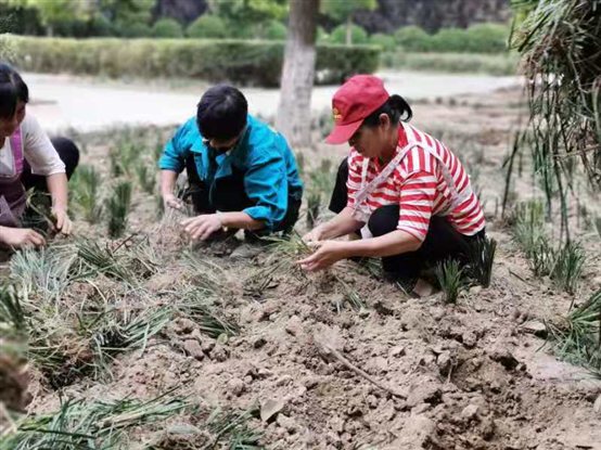 賽馬投注