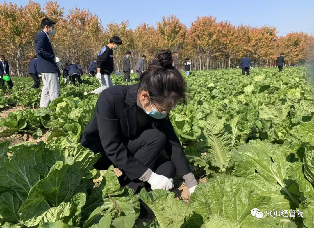 賽馬投注