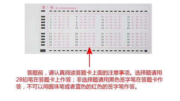 賽馬投注