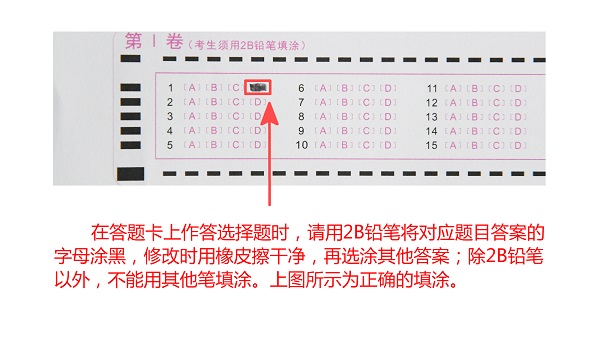 賽馬投注